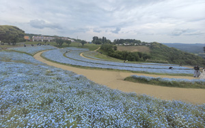 課外活動・千葉